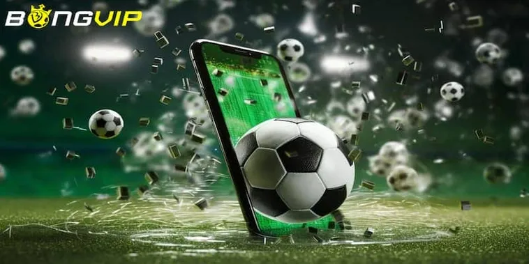 Nhà Cái Bongvip Thương Hiệu Cá Cược Thể Thao Uy Tín Hàng Đầu Châu Á 2026