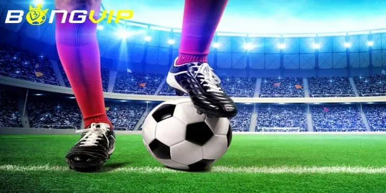 Nhà Cái Bongvip Thương Hiệu Cá Cược Thể Thao Uy Tín Hàng Đầu Châu Á 2026