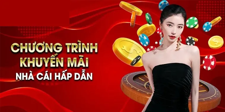 Khuyến Mãi Nhà Cái VIN68 Phân Tích Hiệu Suất Tài Chính Và Tỷ Lệ Hoàn Vốn