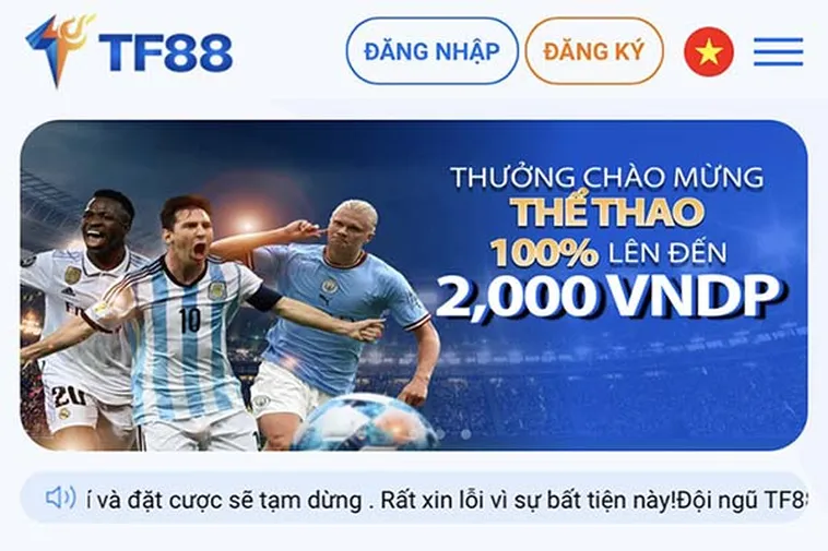 Nhà Cái TF88 Nền Tảng Cá Cược Esport Và Thể Thao Đẳng Cấp Châu Á