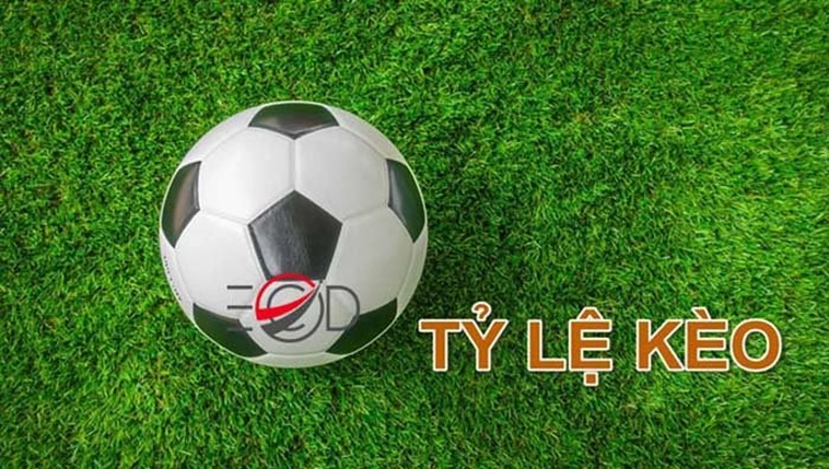 Nhà cái uy tin luôn minh bạch trong tỷ lệ kèo.